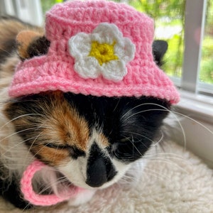 Crochet Pink Bucket Cat Hat Cat Clothing Cat Accessories Cat Costumes Cat Supplies Pet Accessories Pet Supplies Pet Costumes Pet Clothing