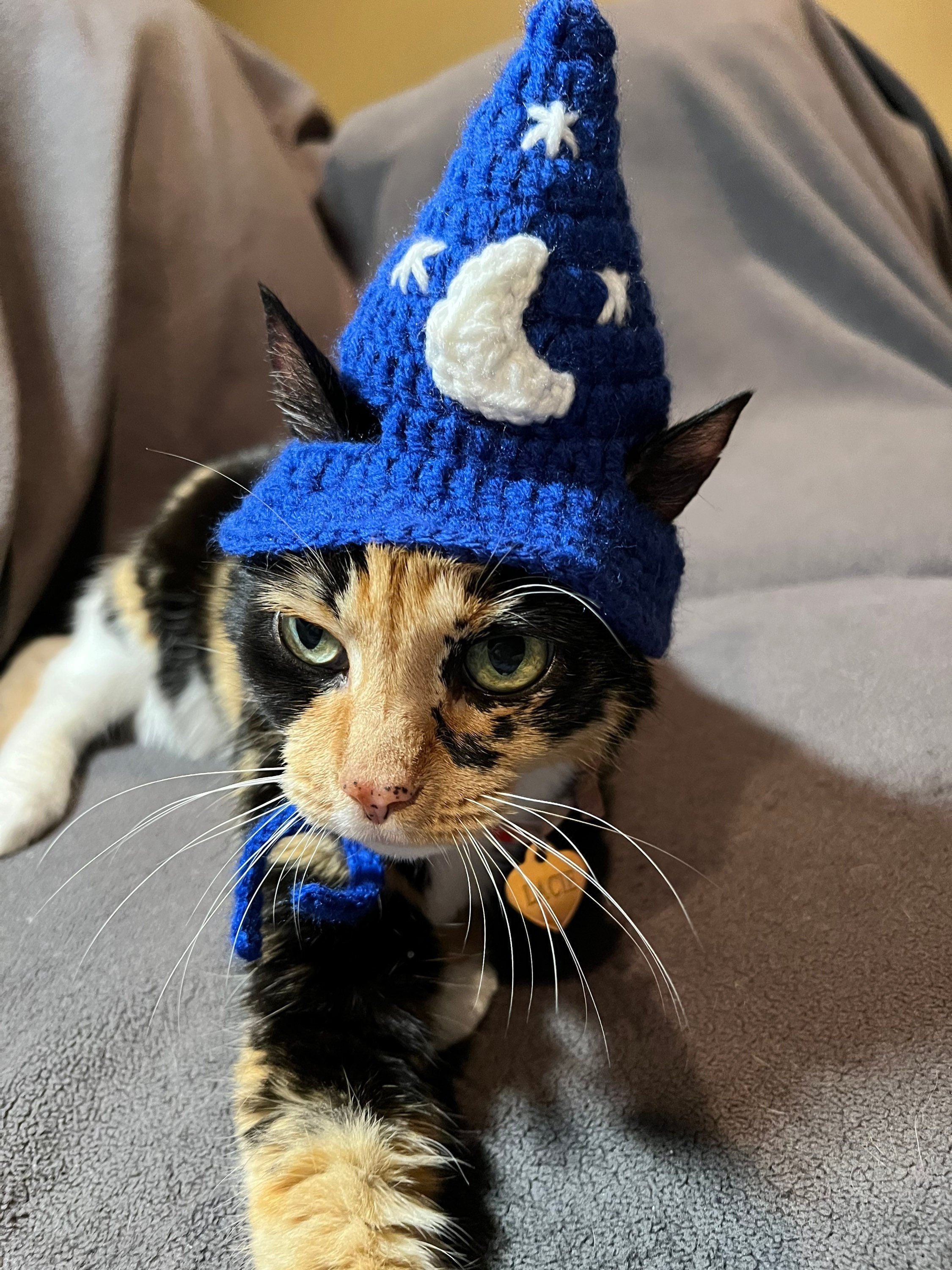 Cat Wizard Hat Cat Hat Cat Costumes Cat Supplies Cat Clothing Pet
