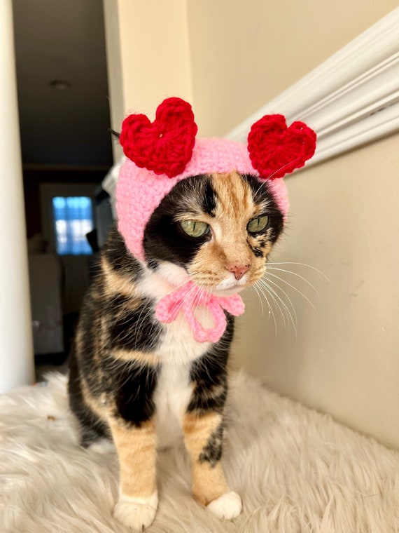 Pet cat accessories cheap