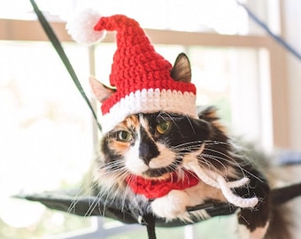 Santa Hat Cat Hat Cat Accessories Cat Supplies Cat Clothing Cat Costumes Pet Accessories Pet Supplies Pet Clothings Pet Costumes