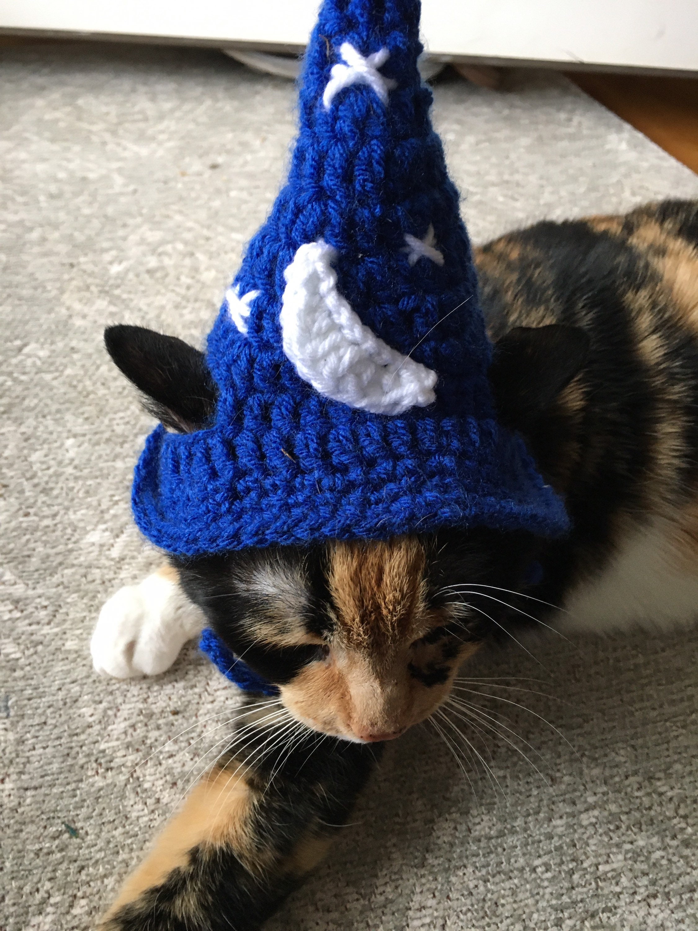 Cat wizard hat cat hat cat costumes pet clothings pet supplies Etsy