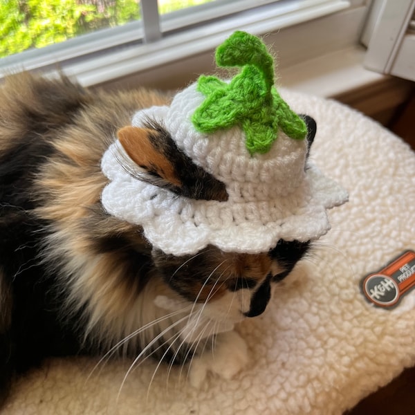 White Snowbell Flower Cat Hat Crochet Cat Hat Cat Costumes Cat Accessories Cat Clothing Cat Supplies Pet Supplies Pet Accessories