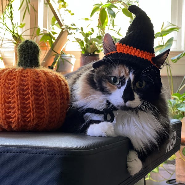 Crochet Cat Witch Hat, Halloween Costume