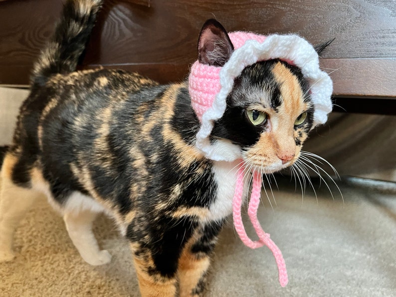 May include: A calico cat wearing a pink crocheted bonnet with white trim. The cat is looking to the side with a serious expression.