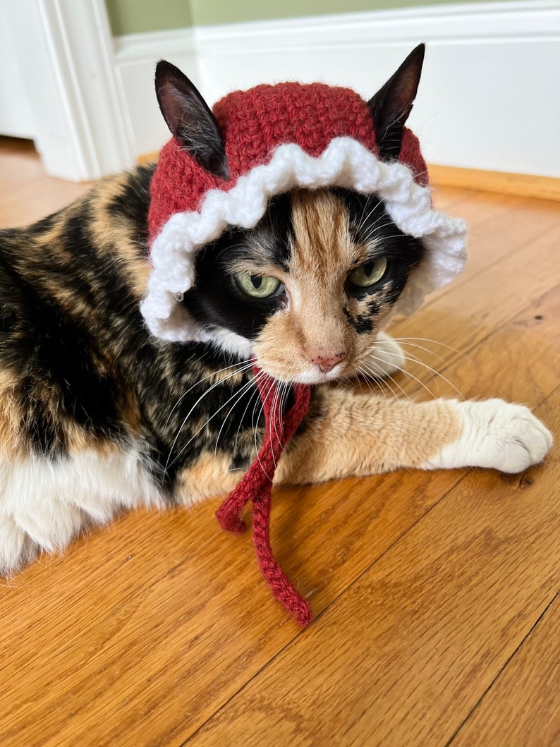 May include: A calico cat wearing a red crocheted hat with a white trim and a red crocheted tie. The cat is lying on a wooden floor.