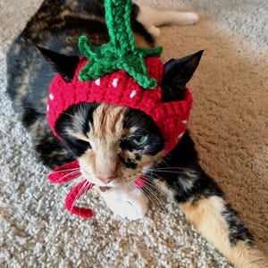 Strawberry cat hat hats for cats cat clothing cat accessories cat supplies cat costumes pet costumes pet supplies pet clothings
