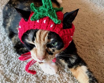 Crochet Strawberry Cat Hat, Cat Costume