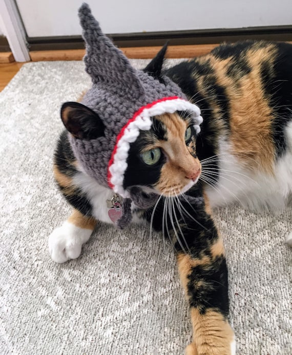 Cats supplies clearance