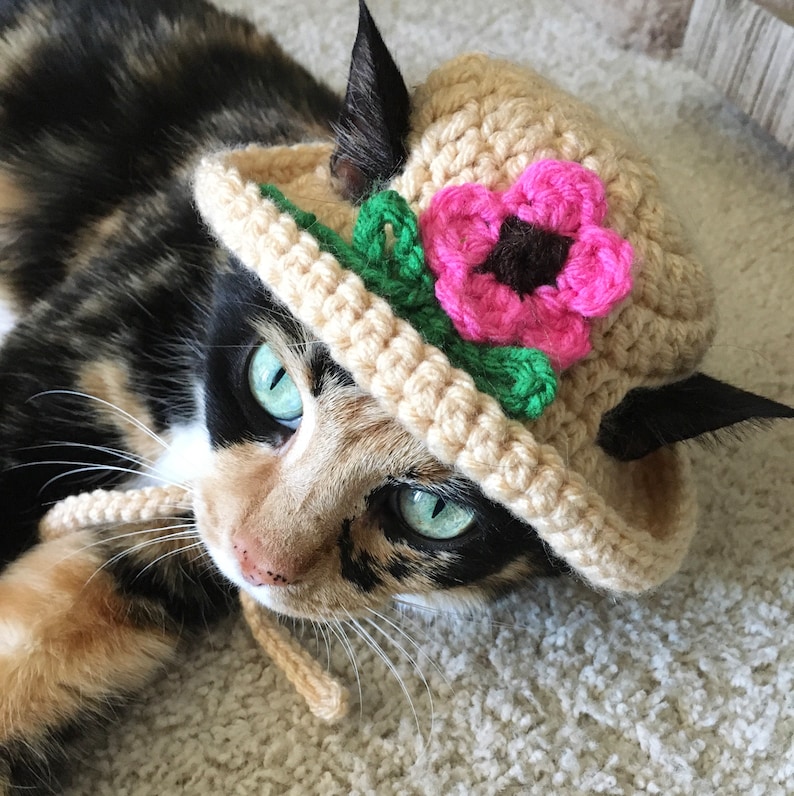 May include: A calico cat wearing a crocheted sun hat with a pink flower. The hat is beige with green leaves and a pink flower.