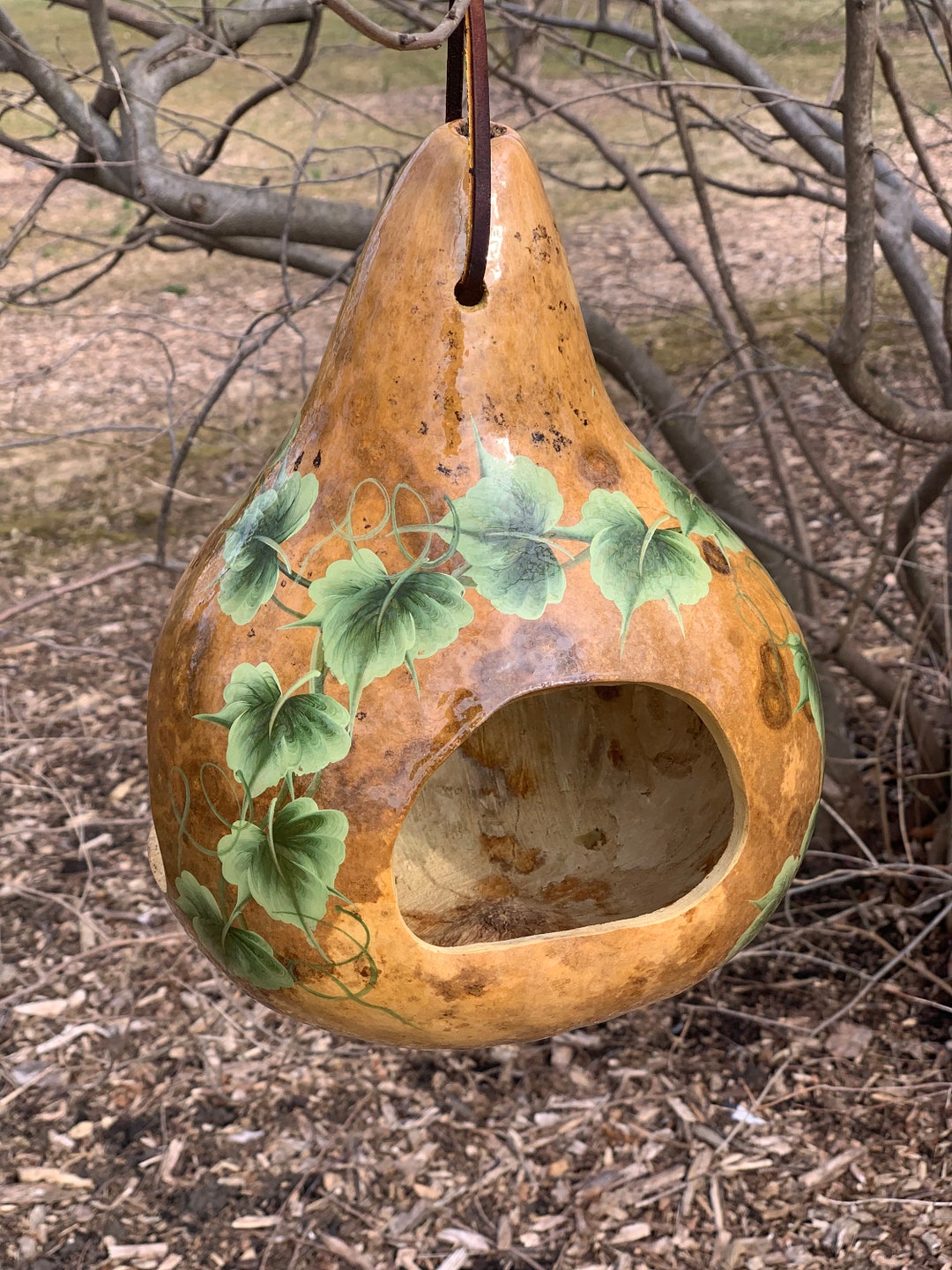 Gourd Bird Feeder, Hand Painted Ivy Gourd, Bird Feeder, Garden Art