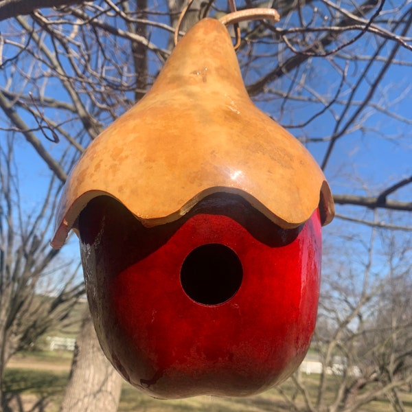 Gourd Birdhouse, Hand painted red gourd, birdhouse, garden art, painted gourd, handmade, birdhouse art, gourds, gourd art, bird house