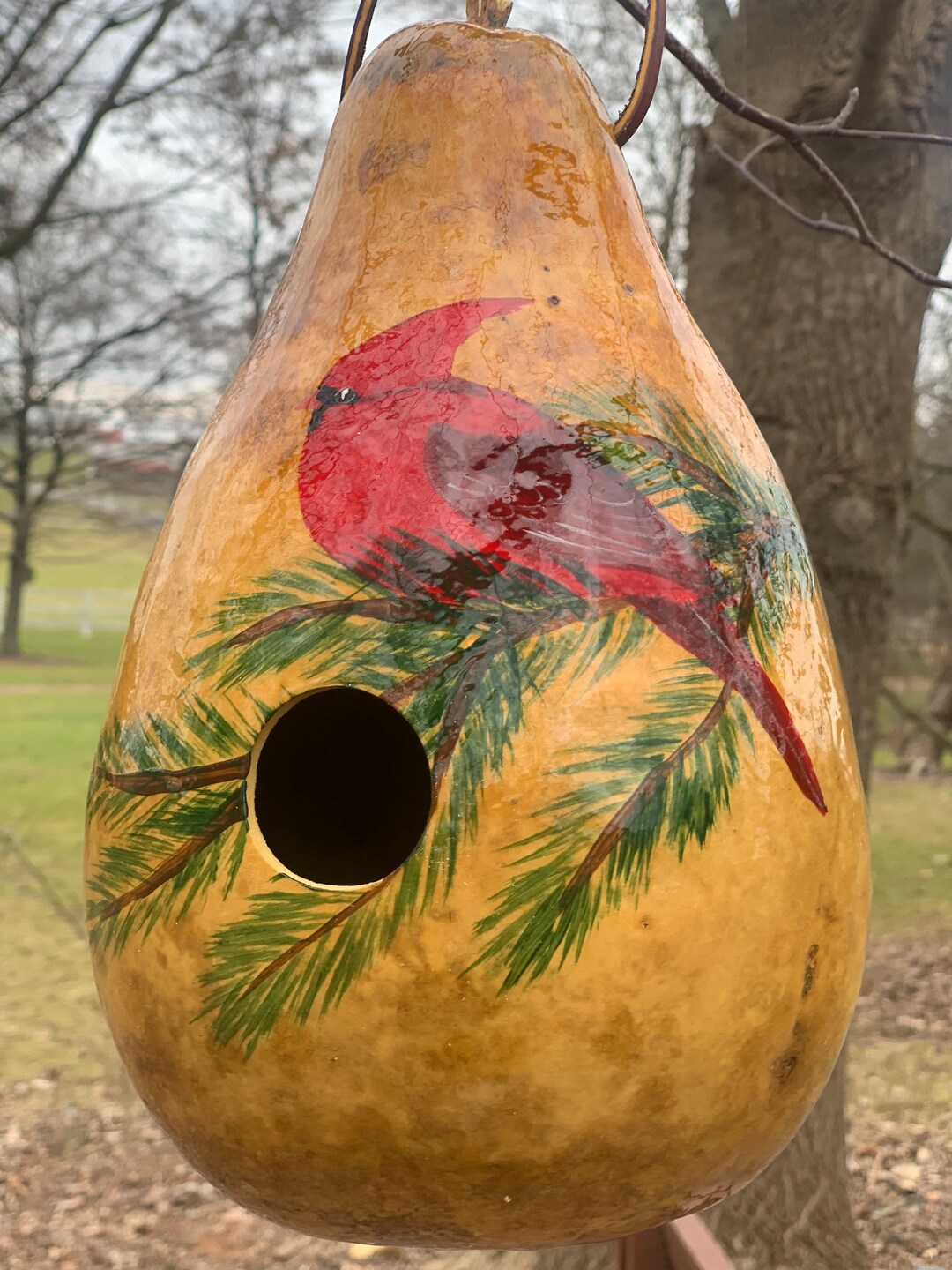 Gourd Birdhouse, Hand Painted Red Cardinal Gourd,birdhouse, Garden Art ...