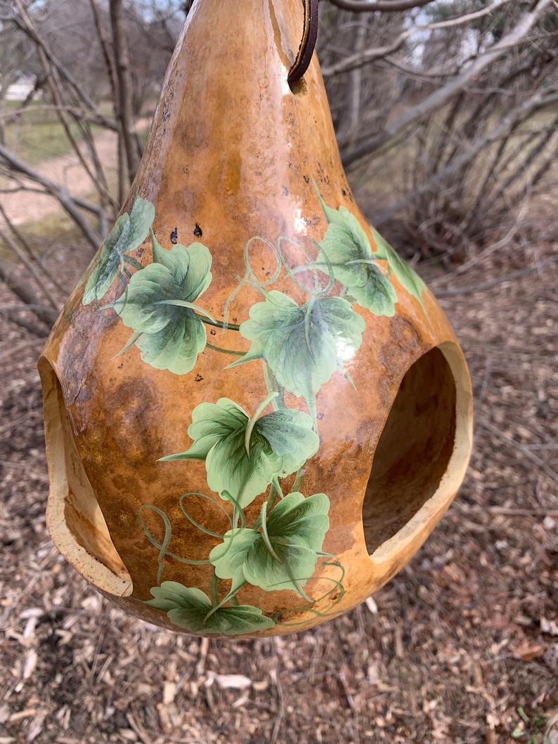 Gourd Bird Feeder Hand Painted Ivy Gourd Bird Feeder Garden Etsy