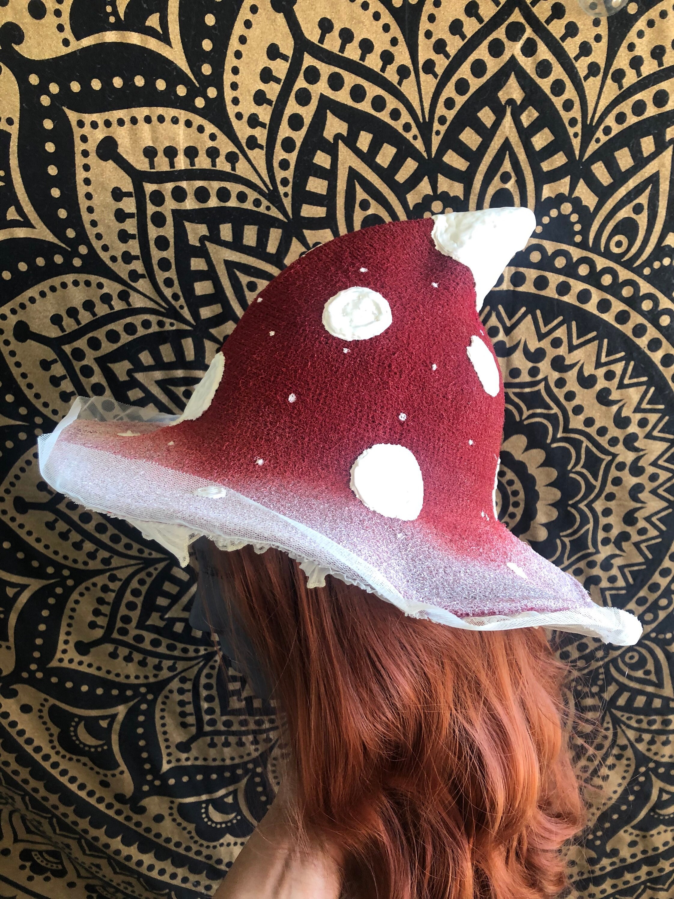 Red Toadstool Fungi Fly Agaric 