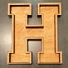 Fillable Wood Letters - Etsy
