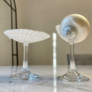 Shell wine glasses