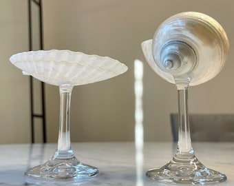 Shell wine glasses