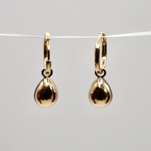 May include: A pair of gold hoop earrings with a teardrop-shaped charm hanging from each hoop.