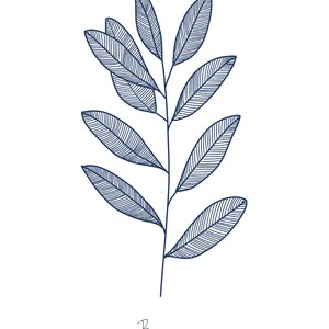 Kitchen herb line drawings - *DIGITAL ART*
