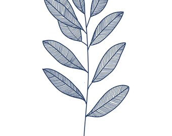 Küchen Kräuter Strichzeichnungen - *DIGITAL ART*