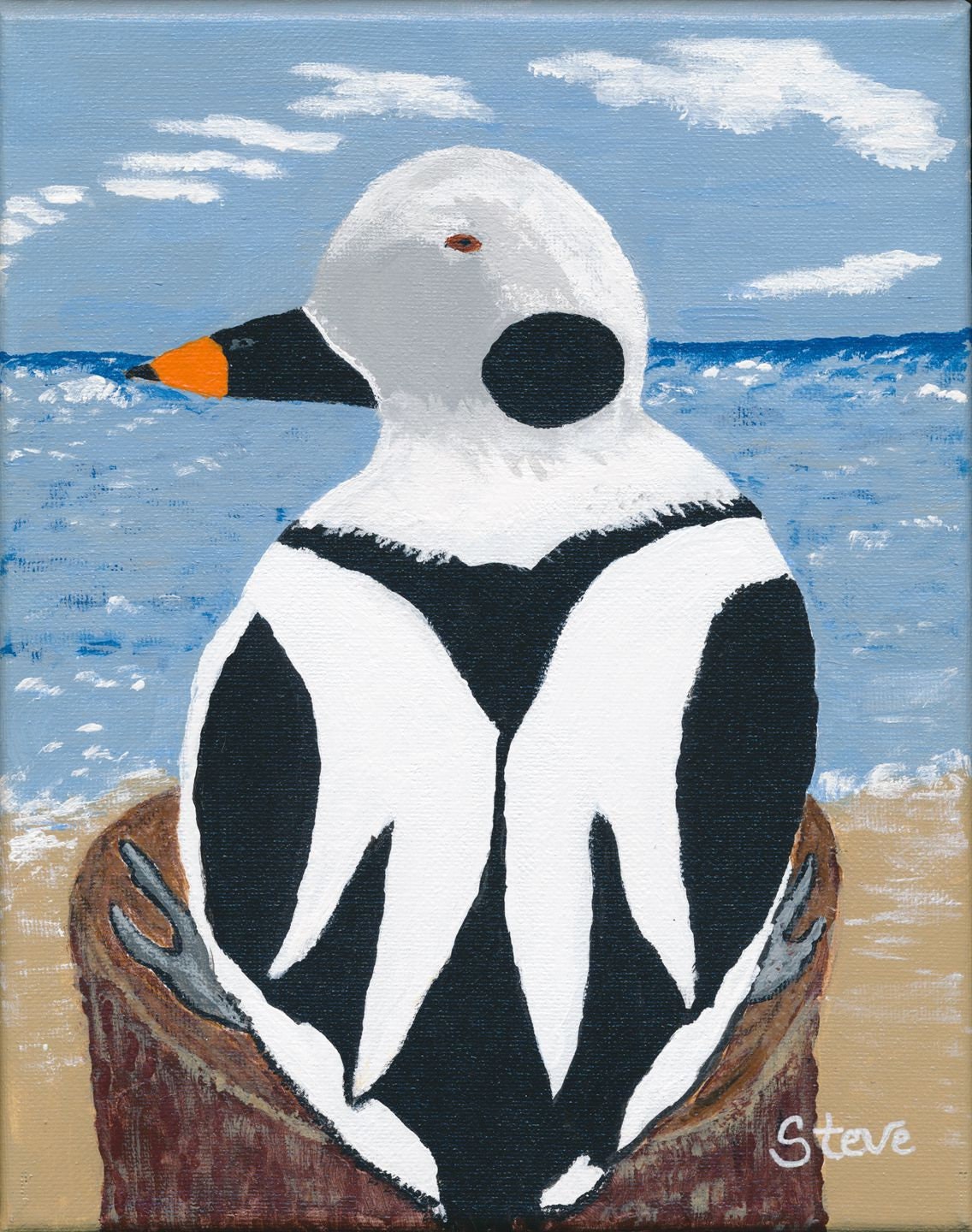 Shorebird Surveyor