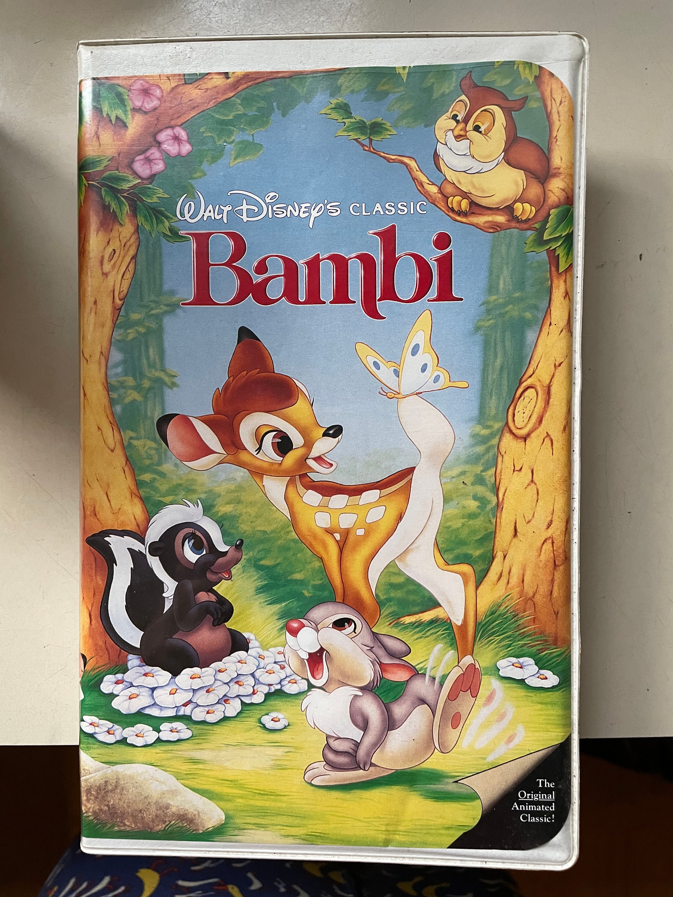 Exclusive Bambi Doe Videos:  Rare Footage - eyvoxrn