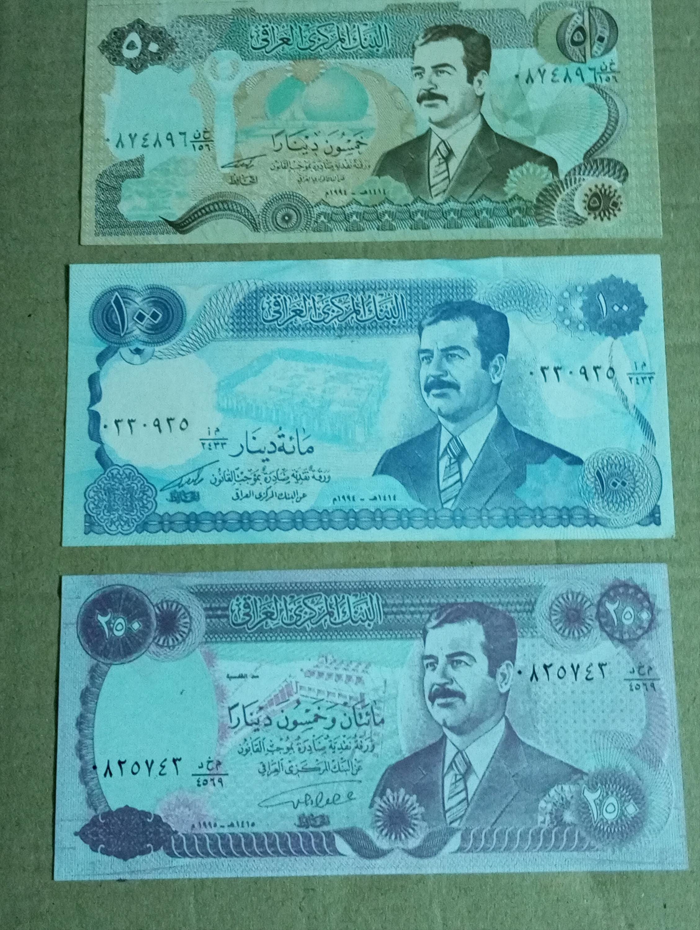 Saddam hussein coin - Etsy 日本
