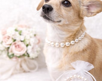 Pearl Dog Necklace | Dog Pearl Collar | Pet Pearl Necklace | Dog Jewelry for Photoshoots | Wedding Dog Necklace | Small to XXL Dogs
