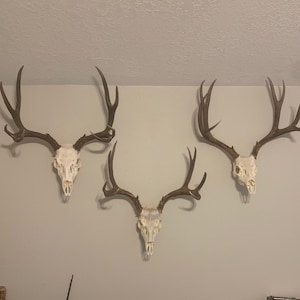 European deer mount's pack(3)