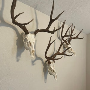 Near and Deer Faux Taxidermy Native American Carving Deer Skull Wall Mount Black//Gold