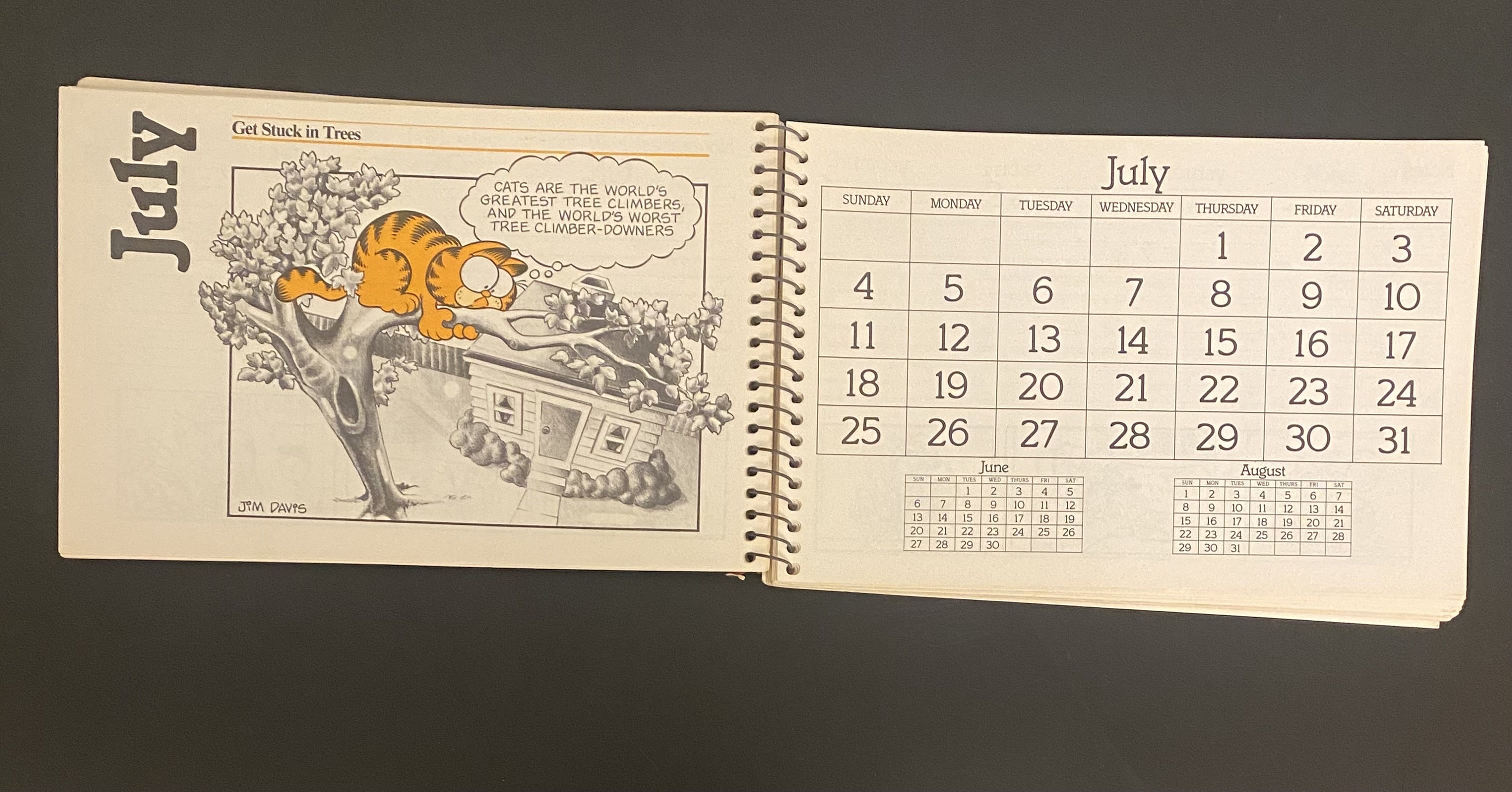 Vintage 1982 Garfield Desk Calendar Planner how to Behave Etsy