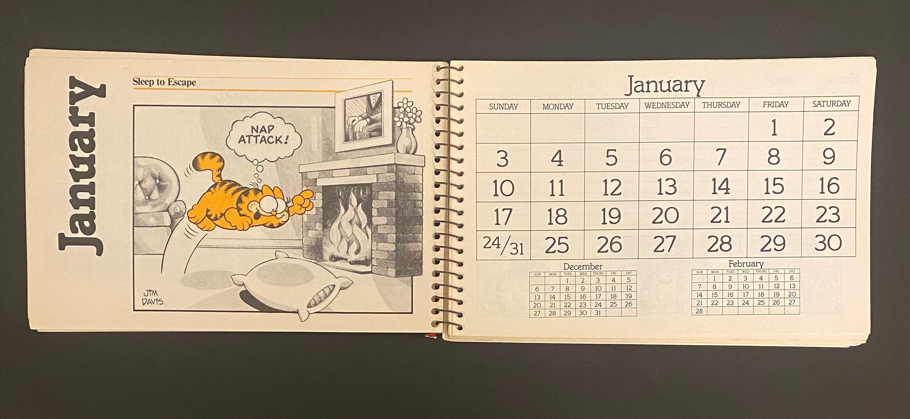 Vintage 1982 Garfield Desk Calendar Planner how to Behave Etsy