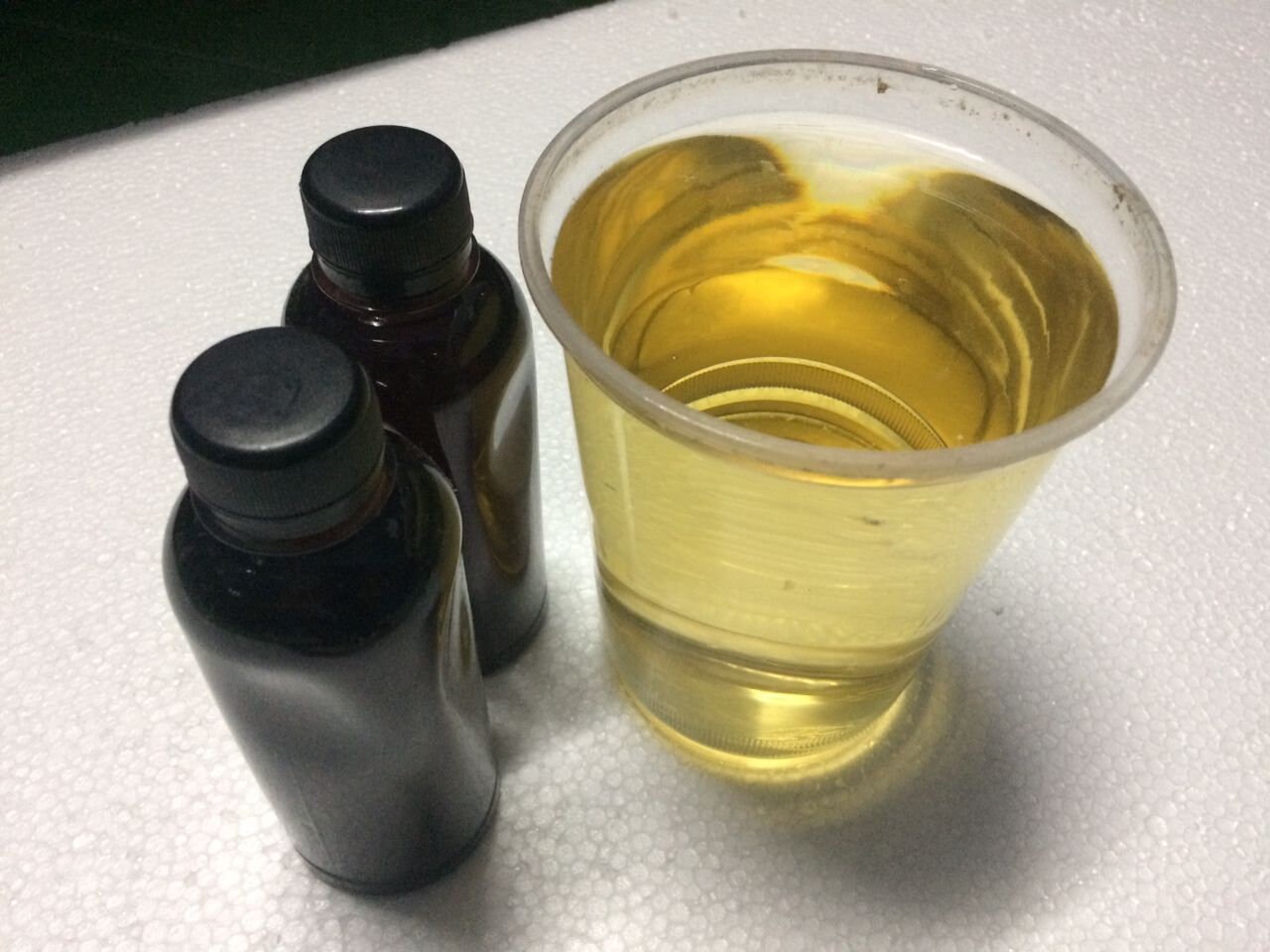 2x Indian Almond Catappa Leaves Extract for Bettas Black Water