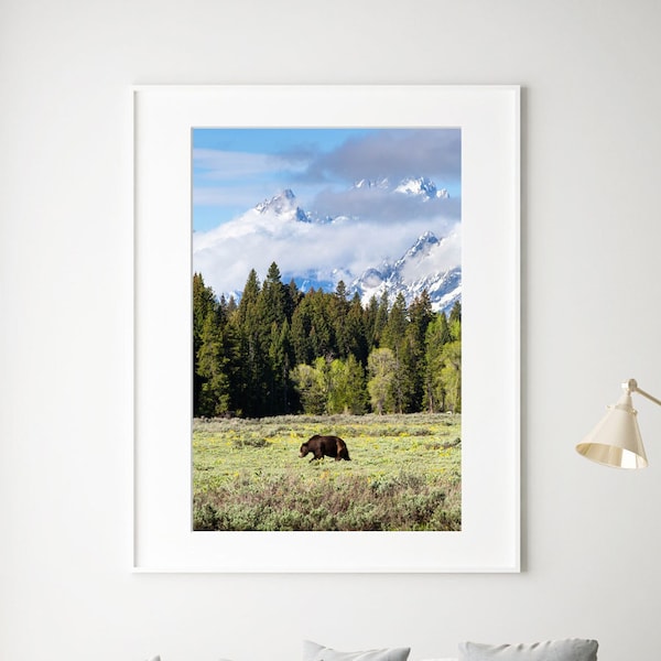 Grizzly Bear Wall Art | Wildlife Photography | Grand Teton National Park Print | 8"x12" to 24"x36" | Made in the USA | Free Shipping