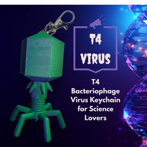May include: A green and blue T4 bacteriophage virus keychain with a silver clasp. The keychain has the text "T4 VIRUS" and "T4 Bacteriophage Virus Keychain for Science Lovers" on a purple background.