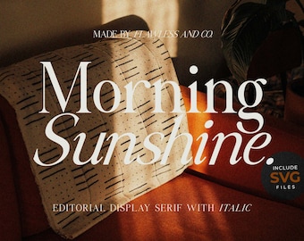 Morning Sunshine - 80's Retro Font, 90's Modern Serif Font, branding font, Modern font, canva font, procreate font, cricut font, logo font