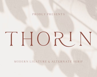 Thorin - Modern Serif Font, branding font, boho font, canva font, procreate font, cricut font, logo font, sans serif, professional font