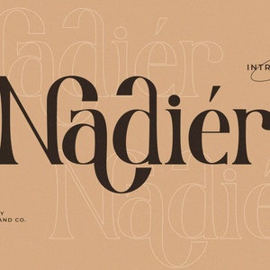 Nadier - Classic Retro Serif Font, Retro Font, Vintage Font, groovy font, Procreate Font, Canva Font, Cricut Font, Logo Font, Serif Font,