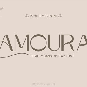 Amoura - Beauty Sans Serif Font, Elegant Font, Wedding Font, Luxury Font, Modern Font, Branding Font, Logo Font, Display Font, Classy Font,