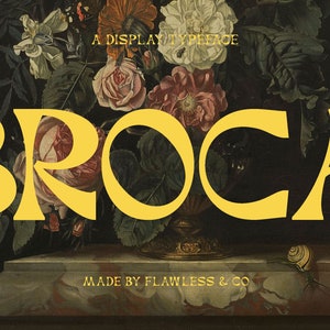 Broca - Police Serif Rétrotypre moderne, police de marque, police boho, police canva, police procréée, police cricut, police logo, sans empattement, police moderne
