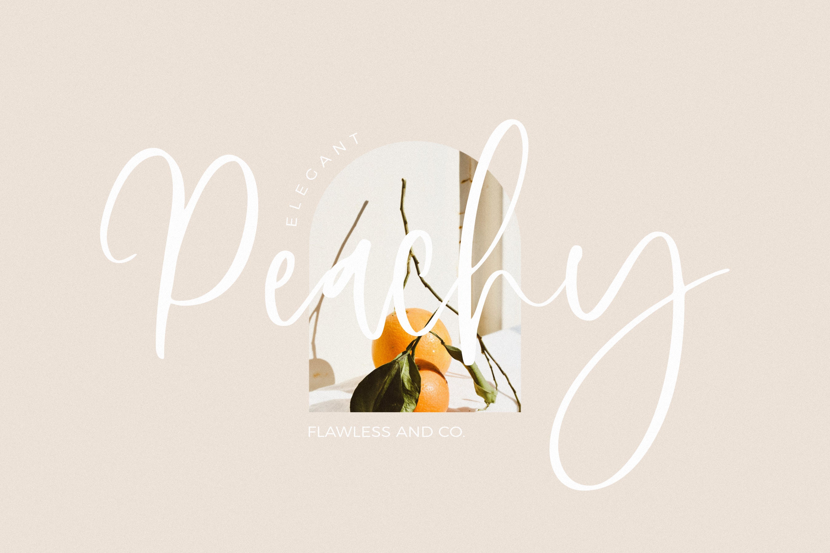Monday Script - Handwritten Script Font, Brush Font, Cricut Font ...