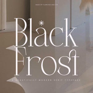 Black Frost - Serif Fonts, Procreate Fonts, Luxury Fonts, Magazine Fonts, Stylish Fonts, Fashion Fonts, Craft Fonts, Logo Fonts