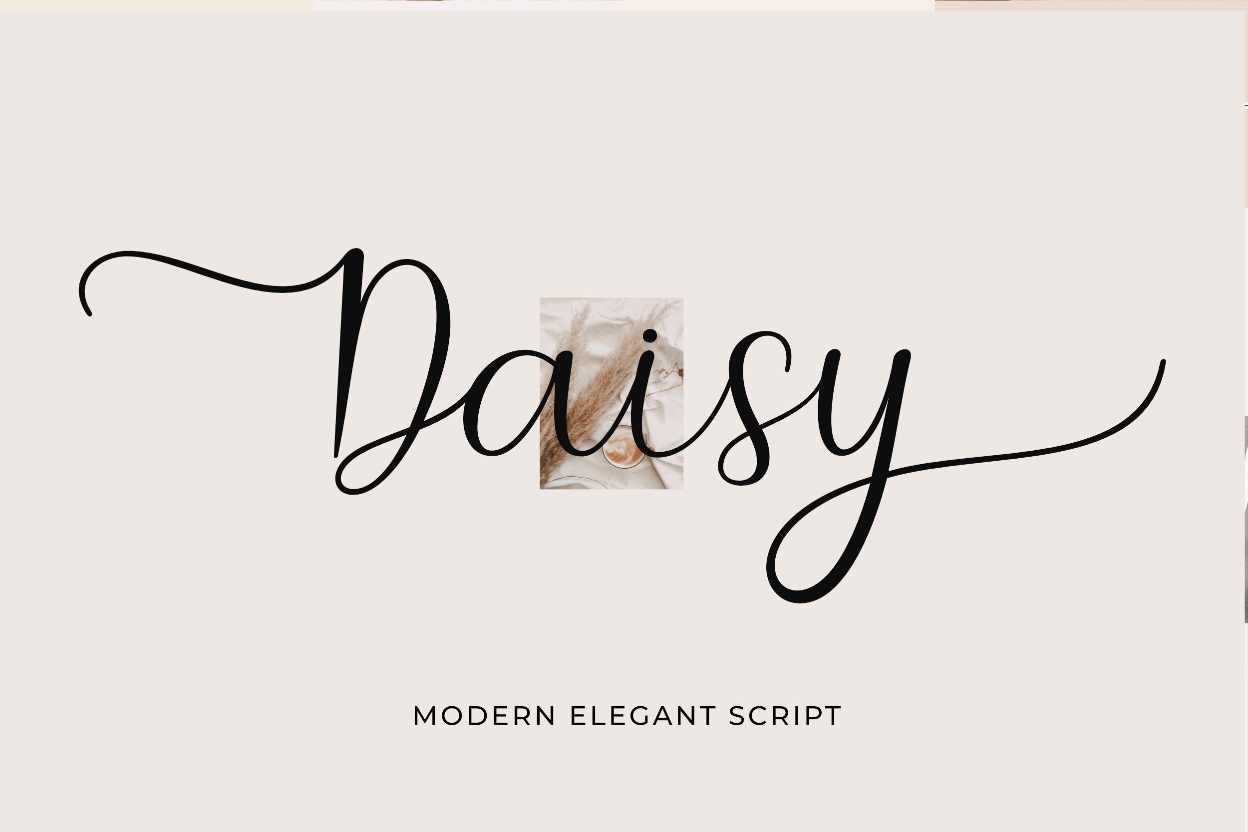 Daisy Wedding Font, Procreate Font, Canva Font, Logo Font, Modern Font