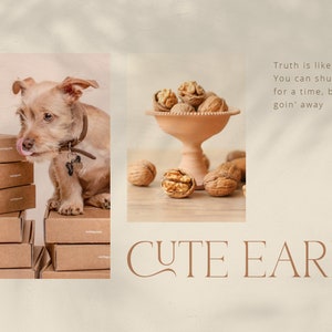 May include: A small, light brown dog with a pink tongue sticking out is sitting on a stack of brown boxes. The dog is looking to the left. The text "CUTE EARLY" is written in brown letters on a white background. The text "Truth is like the sun. You can shut it out for a time, but it ain't goin' away" is written in brown letters on a white background.