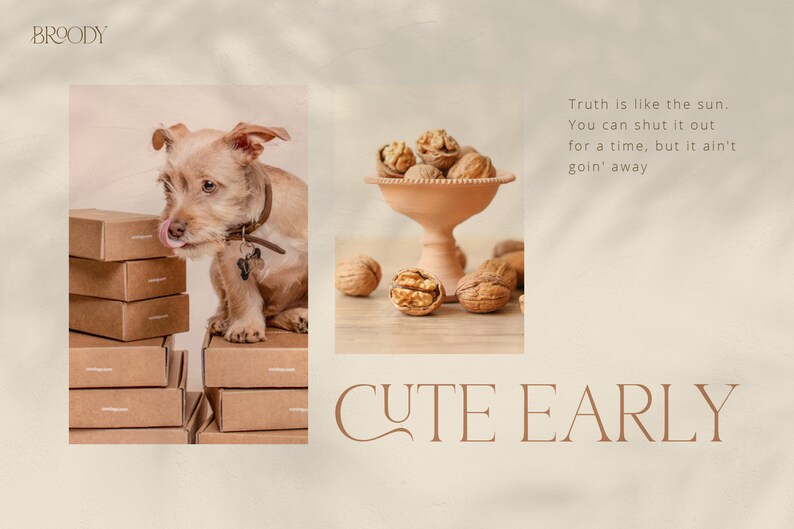 May include: A small, light brown dog with a pink tongue sticking out is sitting on a stack of brown boxes. The dog is looking to the left. The text "CUTE EARLY" is written in brown letters on a white background. The text "Truth is like the sun. You can shut it out for a time, but it ain't goin' away" is written in brown letters on a white background.