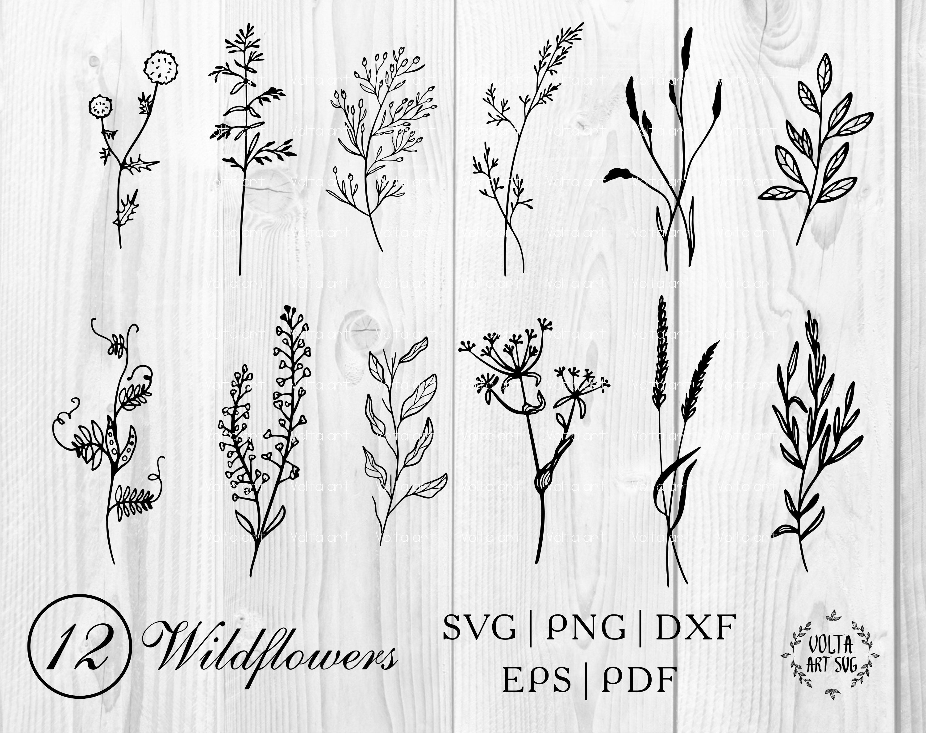Free Free 238 Hand Drawn Wildflower Svg SVG PNG EPS DXF File