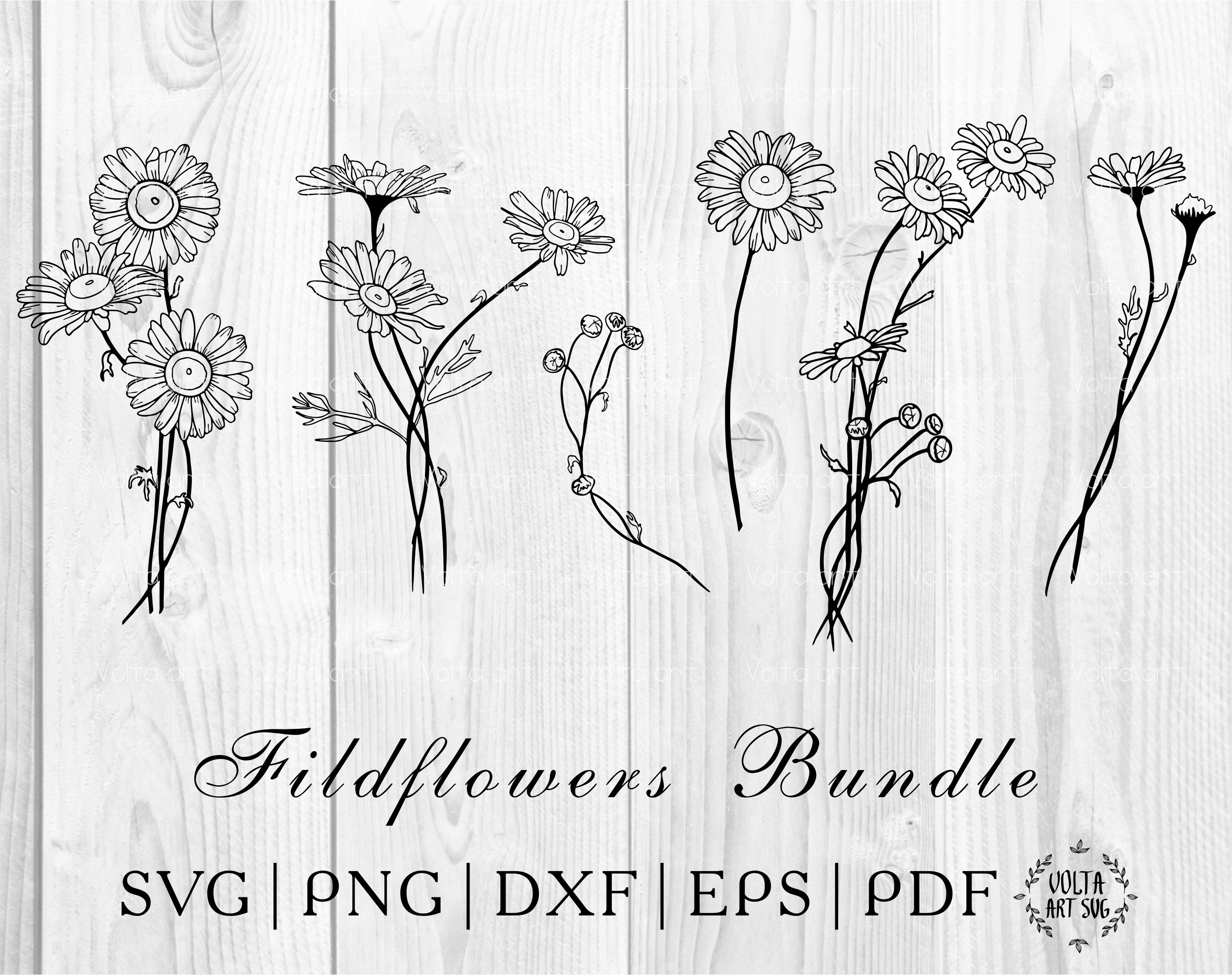 Daisy Svg Bundle Floral Bouquets Svg Wildflowers Svg Floral | Etsy