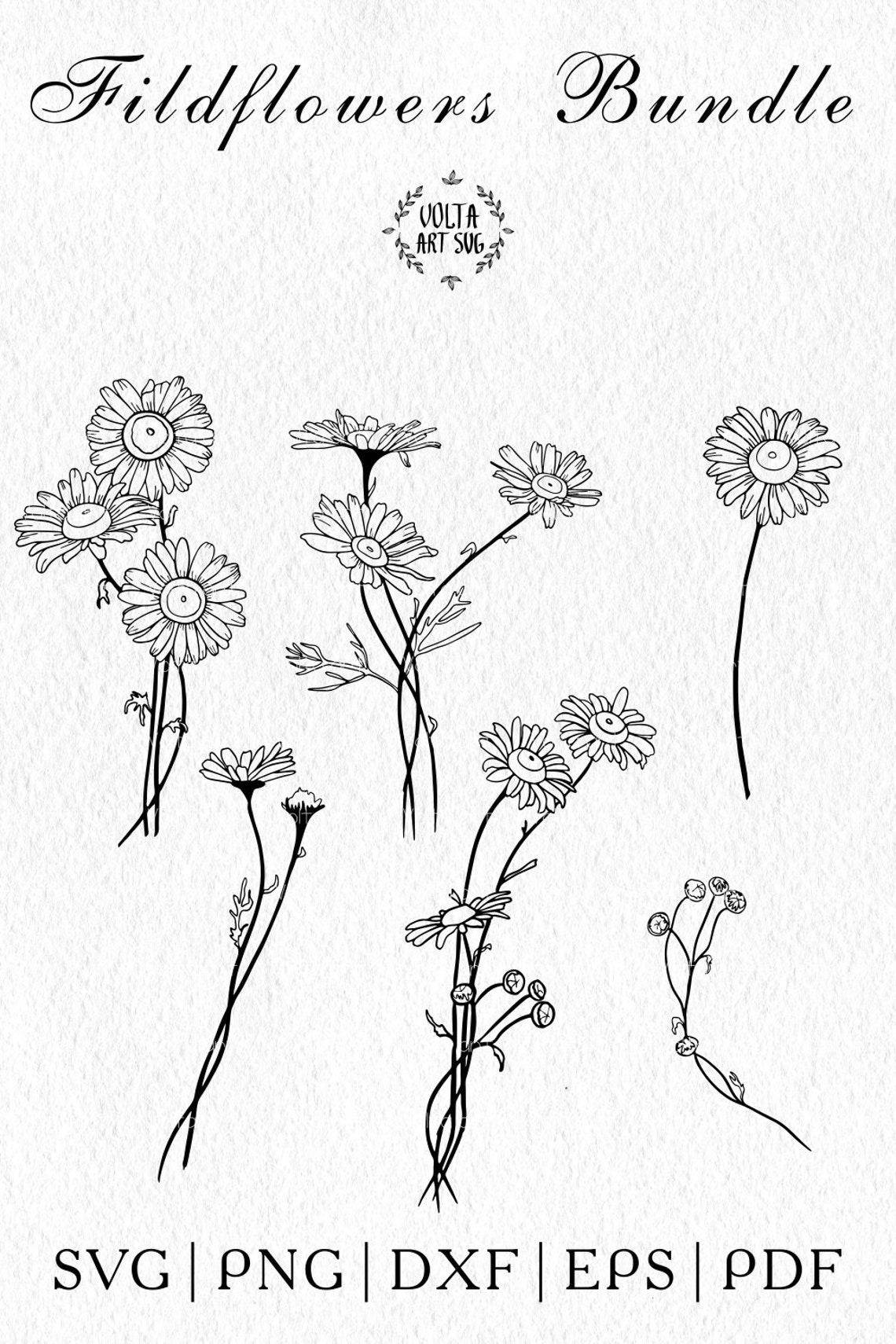 Daisy Svg Bundle Floral Bouquets Svg Wildflowers Svg vrogue.co