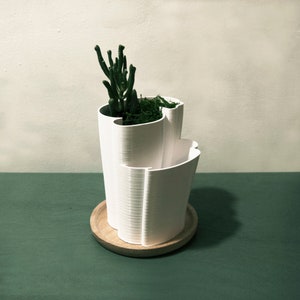 Planter 005