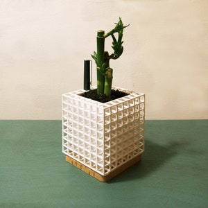 Planter 004
